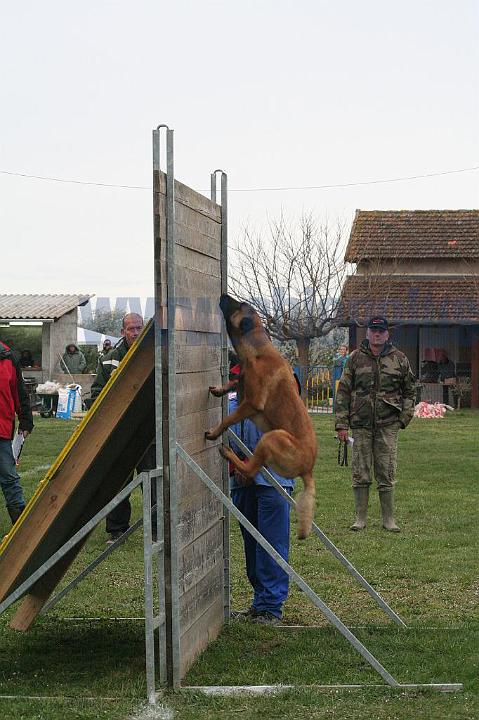 Mondioring III 386.jpg